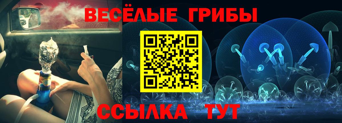 Псилоцибиновые грибы Cubensis Кушва