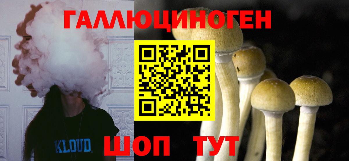Псилоцибиновые грибы GOLDEN TEACHER  Вход с VPN  Кушва 